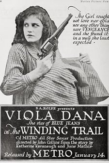 The Winding Trail (1918) afişi