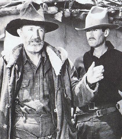 Driftwood(ıı) Fotoğrafı