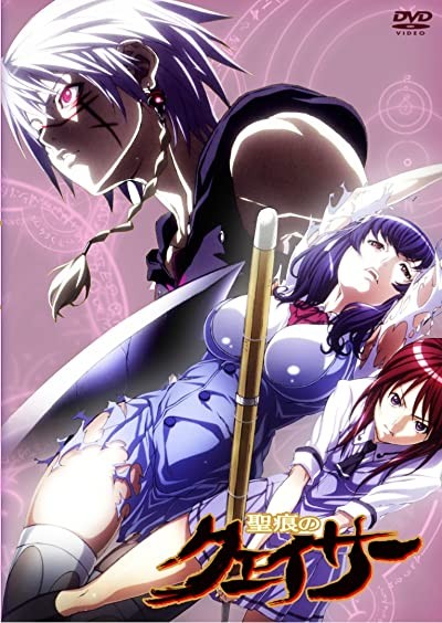 Seikon No Qwaser (2010) afişi