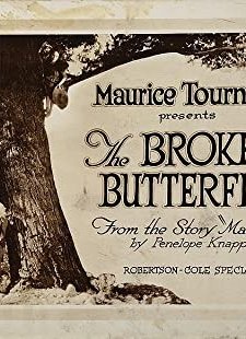 The Broken Butterfly (1919) afişi