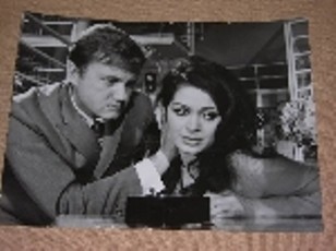 Ne şeker şey Fotoğrafı