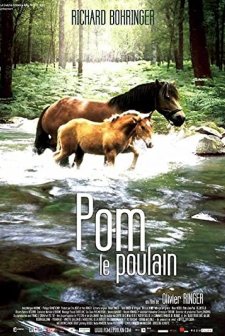 Pom, Le Poulain (2006) afişi