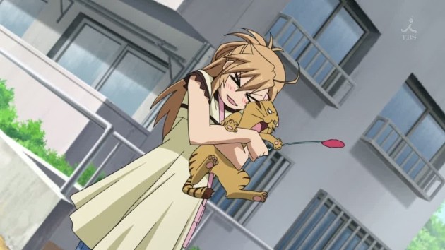 Kedi Sevgisi fotoğrafı