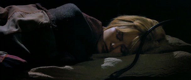 Dogville Fotoğrafı