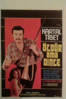 Yiğit Kanı (1966) afişi