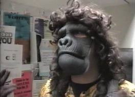 Quest For The Egg Salad Fotoğrafı