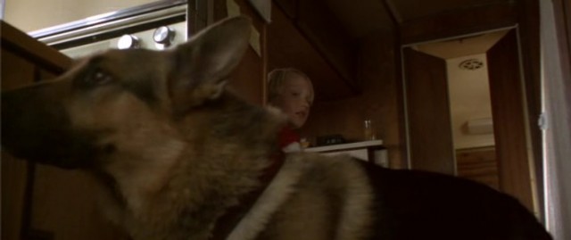 Bad Moon Fotoğrafı