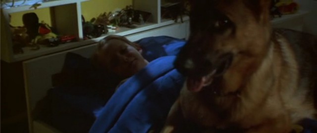 Bad Moon Fotoğrafı