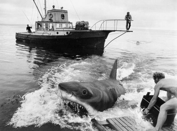 Jaws Fotoğrafı