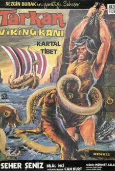 Tarkan Viking Kanı (1971) afişi