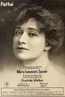 Mary Lawson's Secret (1917) afişi