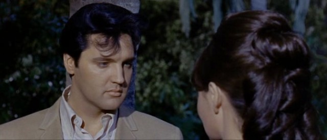 Clambake fotoğrafı