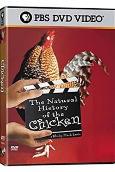 The Natural History Of The Chicken (2000) afişi