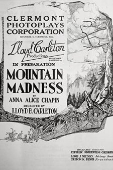 Mountain Madness (1920) afişi