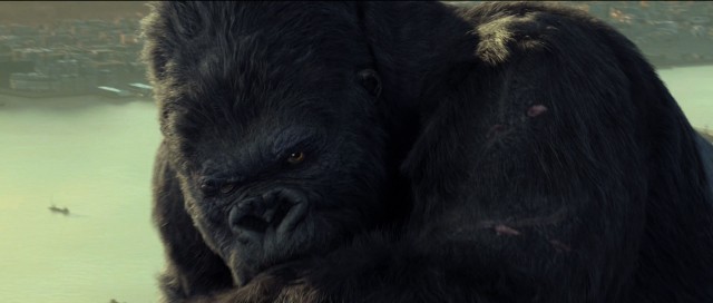 King Kong fotoğrafı