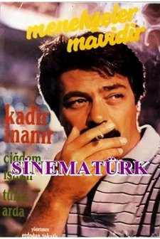 Menekşeler Mavidir (1987) afişi