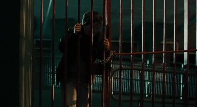 Ayı Teddy Fotoğrafı