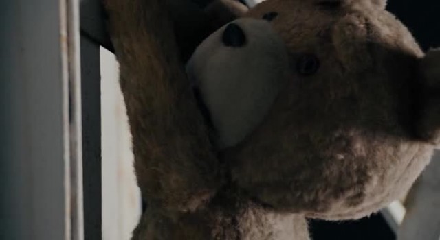 Ayı Teddy Fotoğrafı