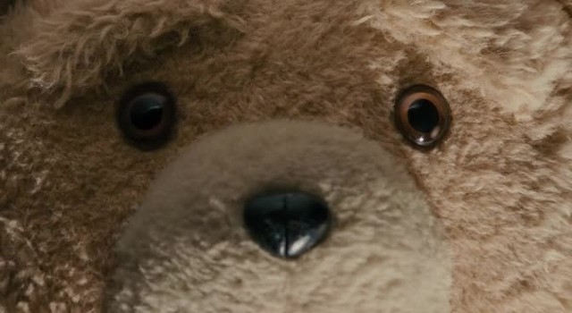 Ayı Teddy Fotoğrafı