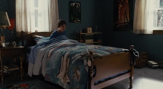 Ayı Teddy Fotoğrafı