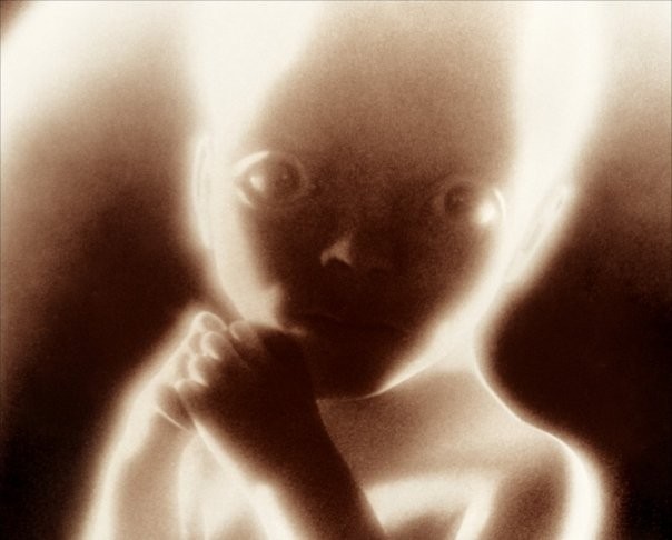 2001: Uzay Macerası Fotoğrafı