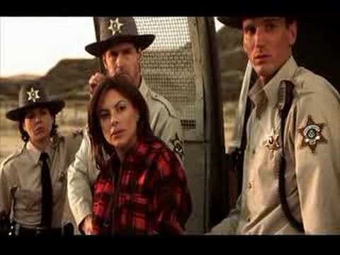 Otostopçu 2 Fotoğrafı