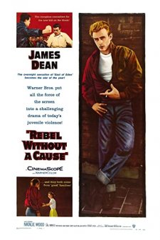 Asi Gençlik (1955) afişi