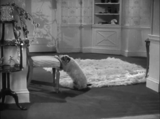 The Awful Truth fotoğrafı