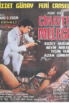 Aşk Ve Cinayet Meleği (1972) afişi