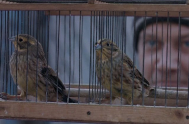 Sessiz Ruhlar Fotoğrafı