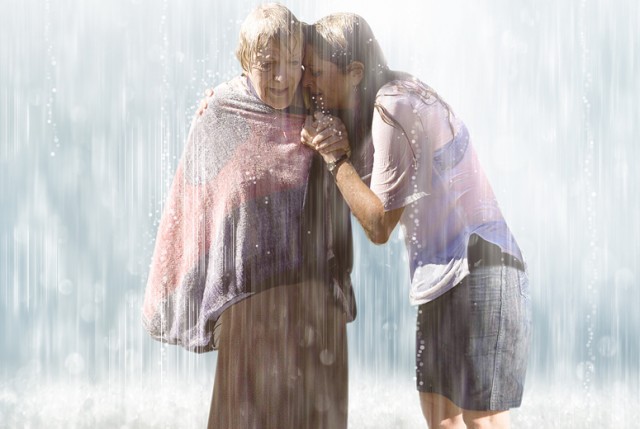 Old Cats Fotoğrafı