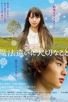 Mahô Tsukai Ni Taisetsu Na Koto (2008) afişi