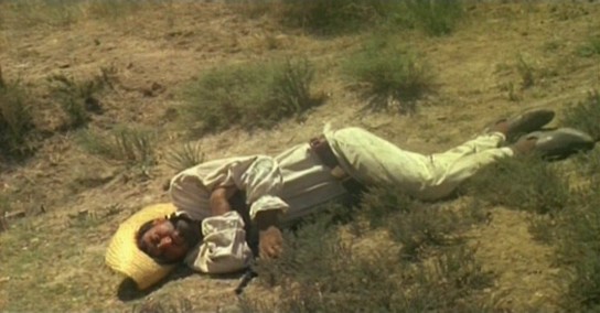 Dos Mil Dólares Por Coyote Fotoğrafı