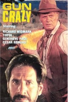 A Talent For Loving (1973) afişi