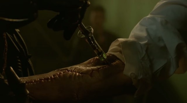 Teen Wolf Fotoğrafı