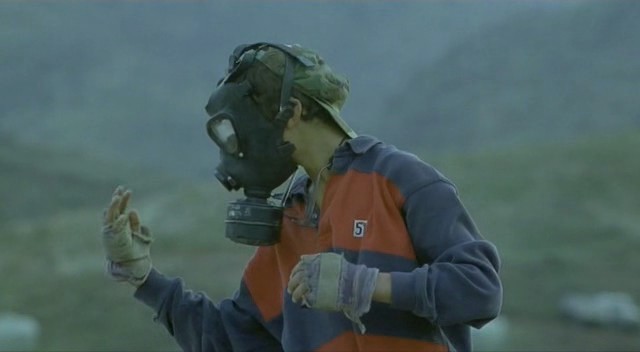 Kaplumbağalar da Uçar Fotoğrafı