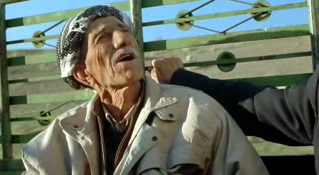 Kaplumbağalar da Uçar Fotoğrafı