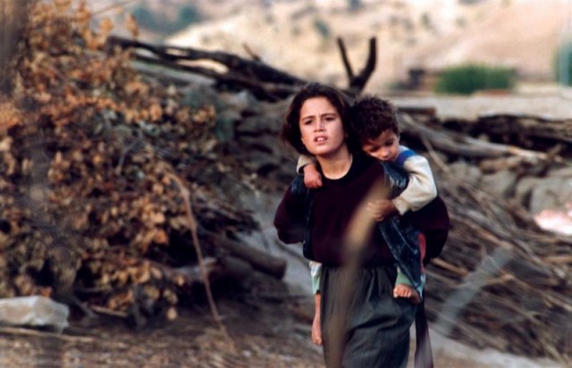 Kaplumbağalar da Uçar Fotoğrafı