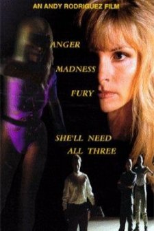 Darkfury (1995) afişi