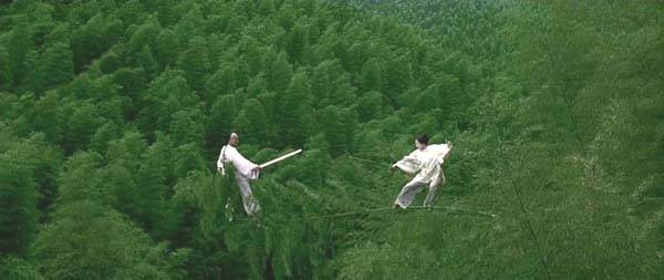 Kaplan ve Ejderha Fotoğrafı