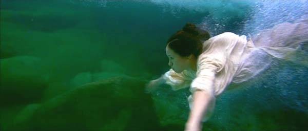 Kaplan ve Ejderha Fotoğrafı