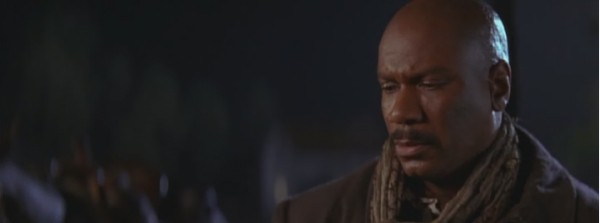 Gül Ağacı Fotoğrafı