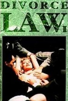 Divorce Law (1993) afişi