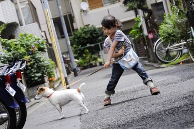 Happy Together: All About My Dog fotoğrafı