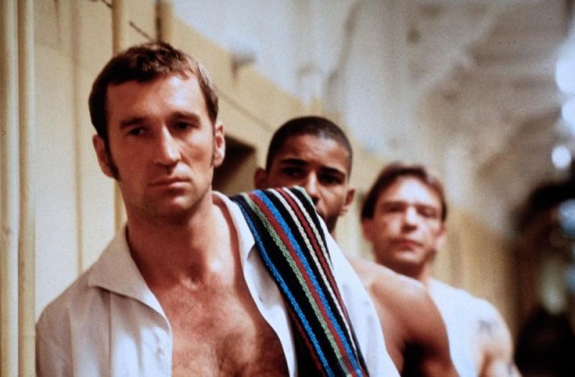 Bunte Hunde fotoğrafı