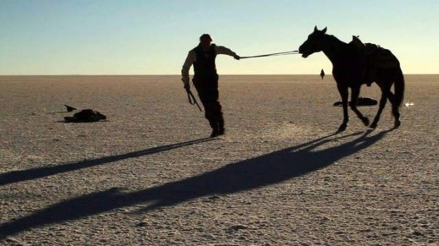 Blackthorn fotoğrafı