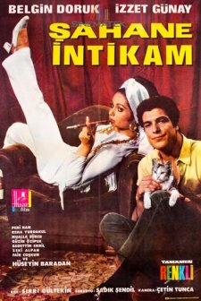 Şahane intikam (1969) afişi