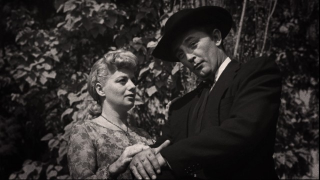 Caniler Avcısı Fotoğrafı