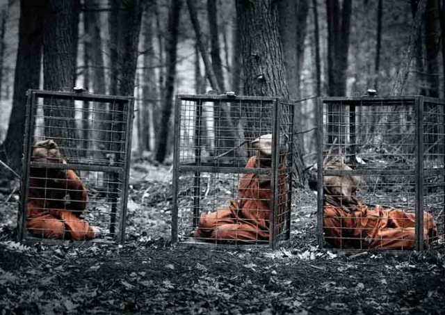 Territories fotoğrafı