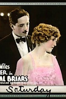 Social Briars (1918) afişi